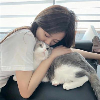 蝶舞莺歌